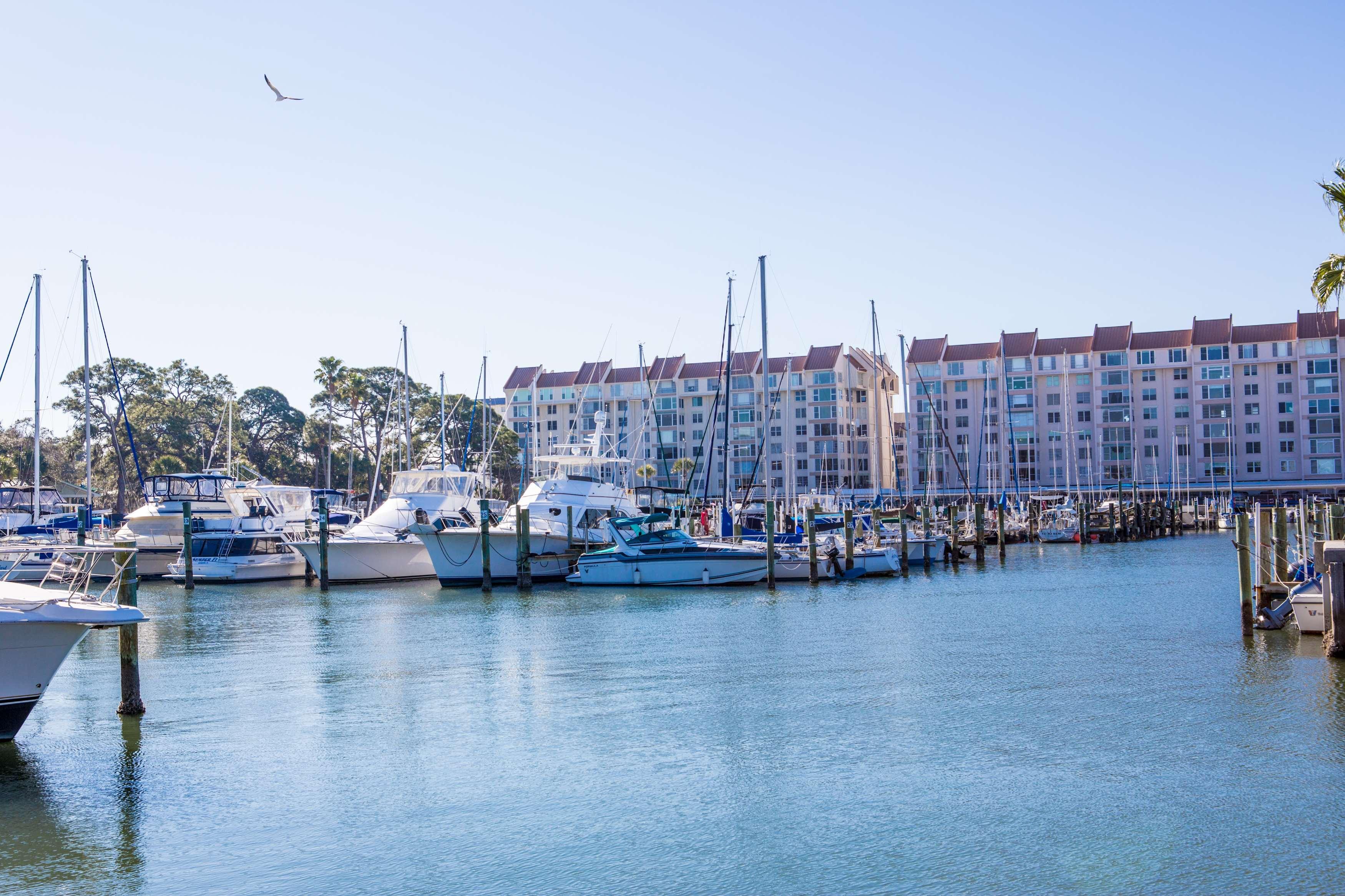 Best Western Plus Yacht Harbor Inn Dunedin Dış mekan fotoğraf